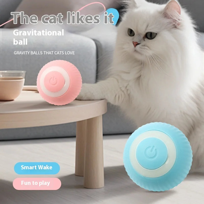 Smart Rolling Ball Cat Toy – USB Rechargeable & Fun! 🐱⚡