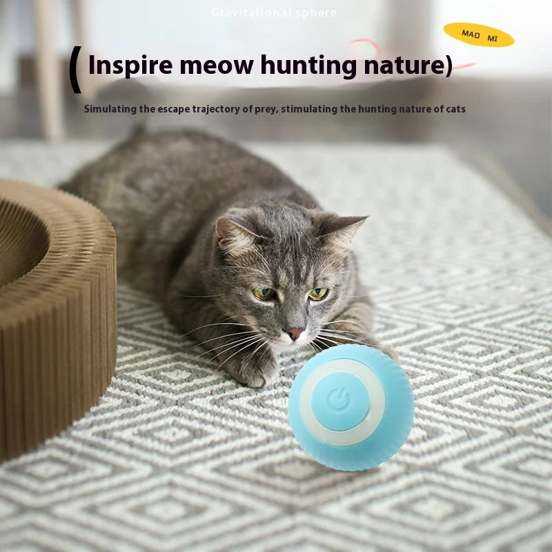 Smart Rolling Ball Cat Toy – USB Rechargeable & Fun! 🐱⚡